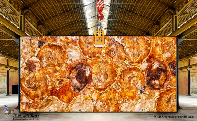 Brown Petrified Wood Giant