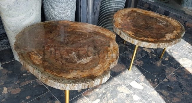 Brown Petrified Wood Natural Top with Polished Live Edges