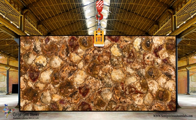 Brown Petrified Wood