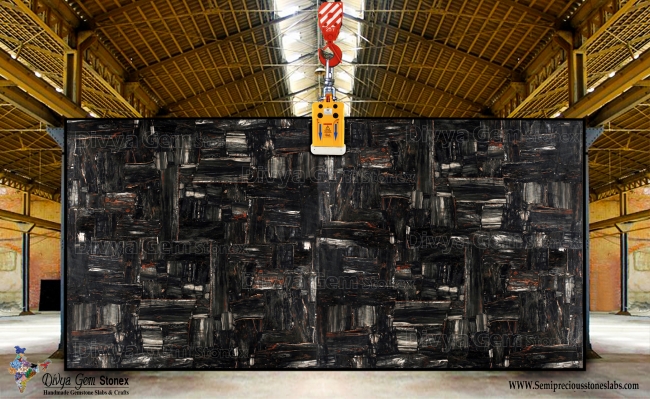 Retro Petrified Wood Black
