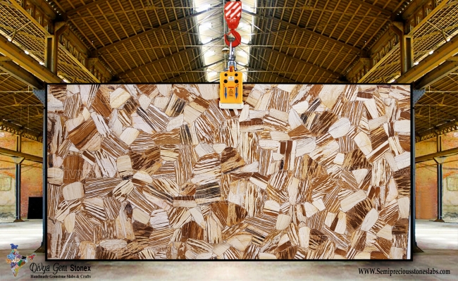 Zebra Jasper
